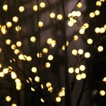 fairy-string-lights